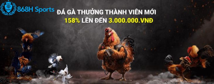 Ưu đãi thành viên mới khi tham gia đá gà 868h