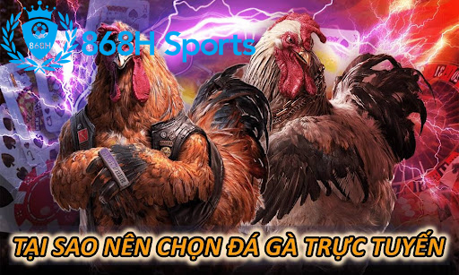 Tại sao nên chọn đá gà trực tuyến