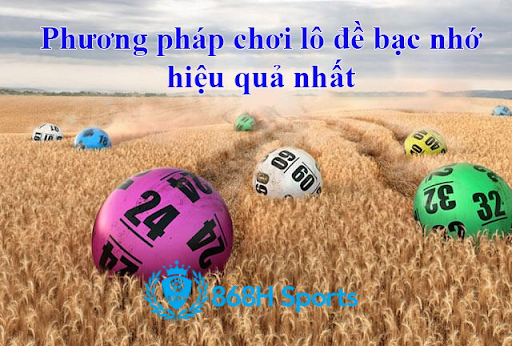 Phương pháp bạc nhớ miền Bắc