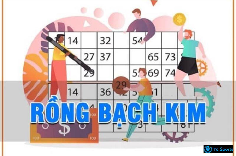 Soi cầu rồng bạch kim cao cấp chi tiết nhất