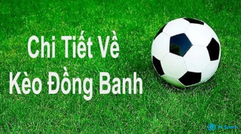 chấp đồng banh là sao