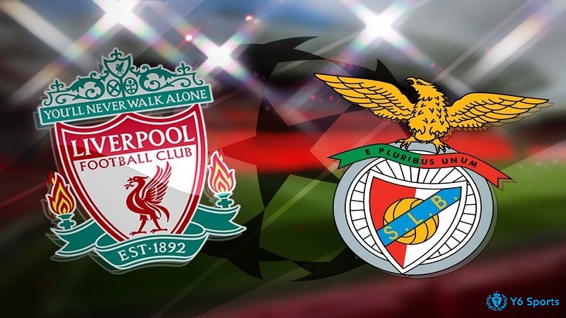 lịch sử đối đầu benfica vs liverpool