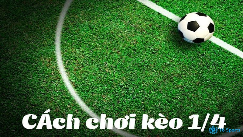 kèo 1/4 là bao nhiêu