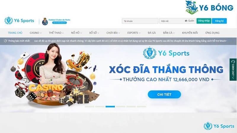 Y6 bet - Điểm cá cược được người chơi đánh giá tích cực