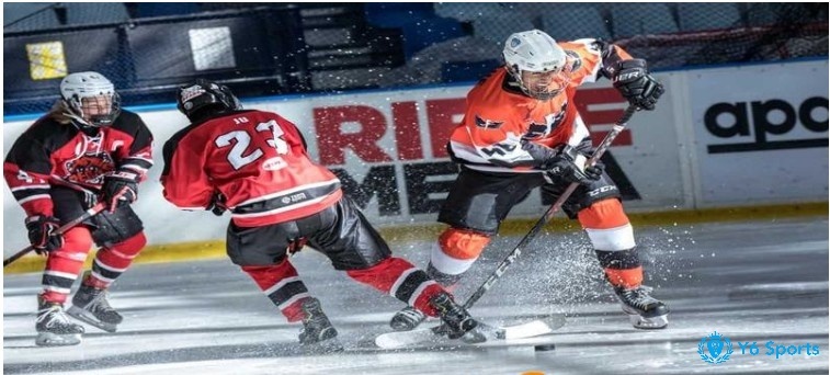 Hockey là gì? Trải nghiệm cá cược hockey mới lạ, hấp dẫn