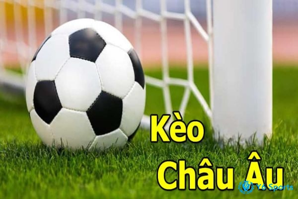 Kèo châu âu rất phổ biến, càng chơi càng thấy thú vị