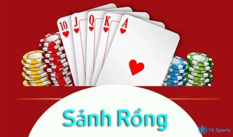 Sanh rong là gì? Tổng hợp thông tin chi tiết cùng 868H