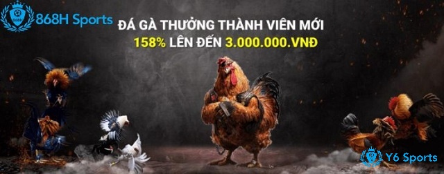 868h được đông đảo người chơi đánh giá là nhà cái đá gà uy tín số 1