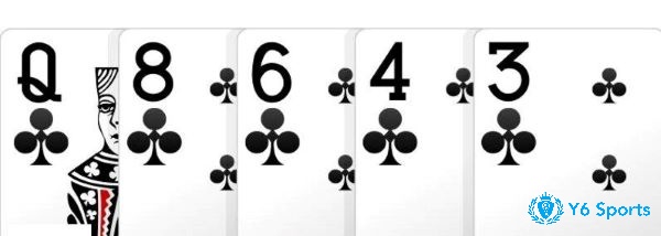 Thứ 5 Sảnh Poker Flush – Thùng