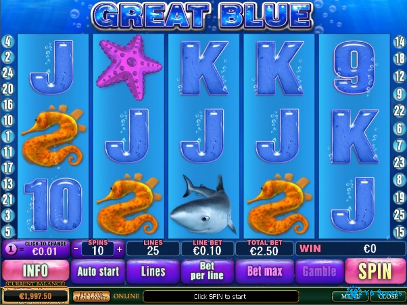 Cách chơi game Great Blue slot cực kỳ đơn giản