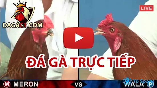 Theo dõi ngay các nền tảng để có thể xem những trận đấu hấp dẫn nhé