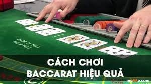 Cách đặt cược baccarat: Hướng dẫn và mẹo chơi thành công