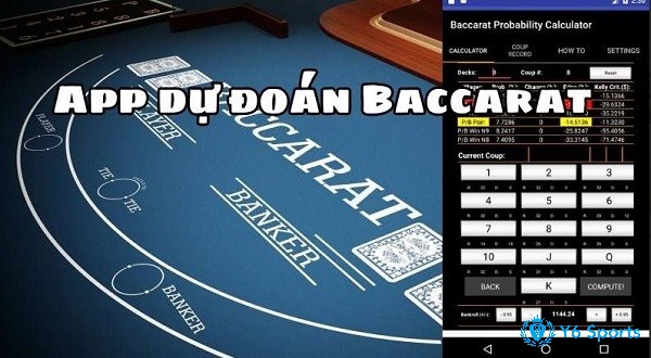 Lưu ý khi sử dụng Tool dự đoán baccarat