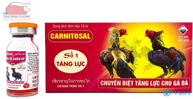 Thuốc tăng lực giúp gà không bị đau khi trúng đòn