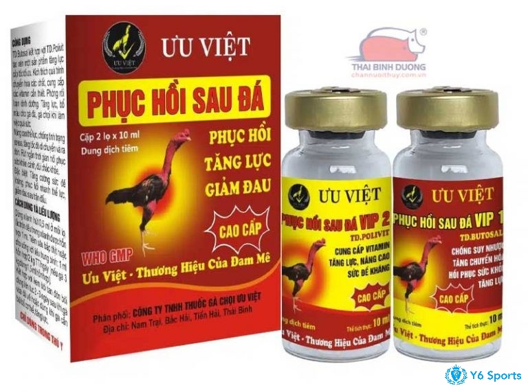 Thuốc hồi phục cho gà đá giúp gà nhanh chóng phục hồi sức khỏe