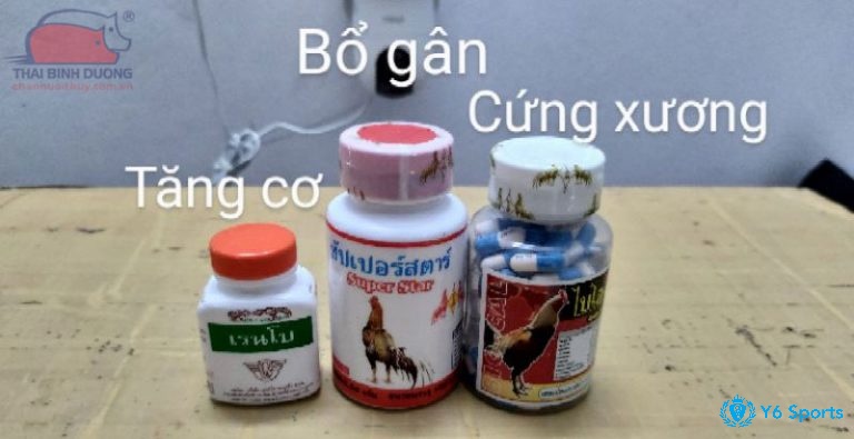 Gà đá uống thuốc gì cho khỏe? Thì nên sử dụng thuốc tăng cơ và chắc xương