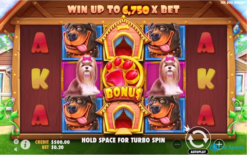 The Dog House là một slot game có chủ đề động vật khá dễ thương