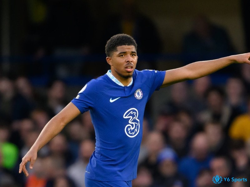 Wesley Fofana bức tường phòng thủ vững chắc của Chelsea